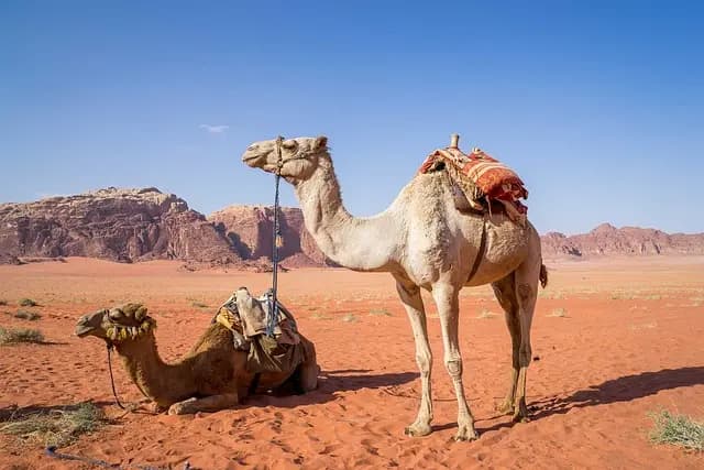 Cómo Encontrar los Mejores Destinos de Viaje Económicos