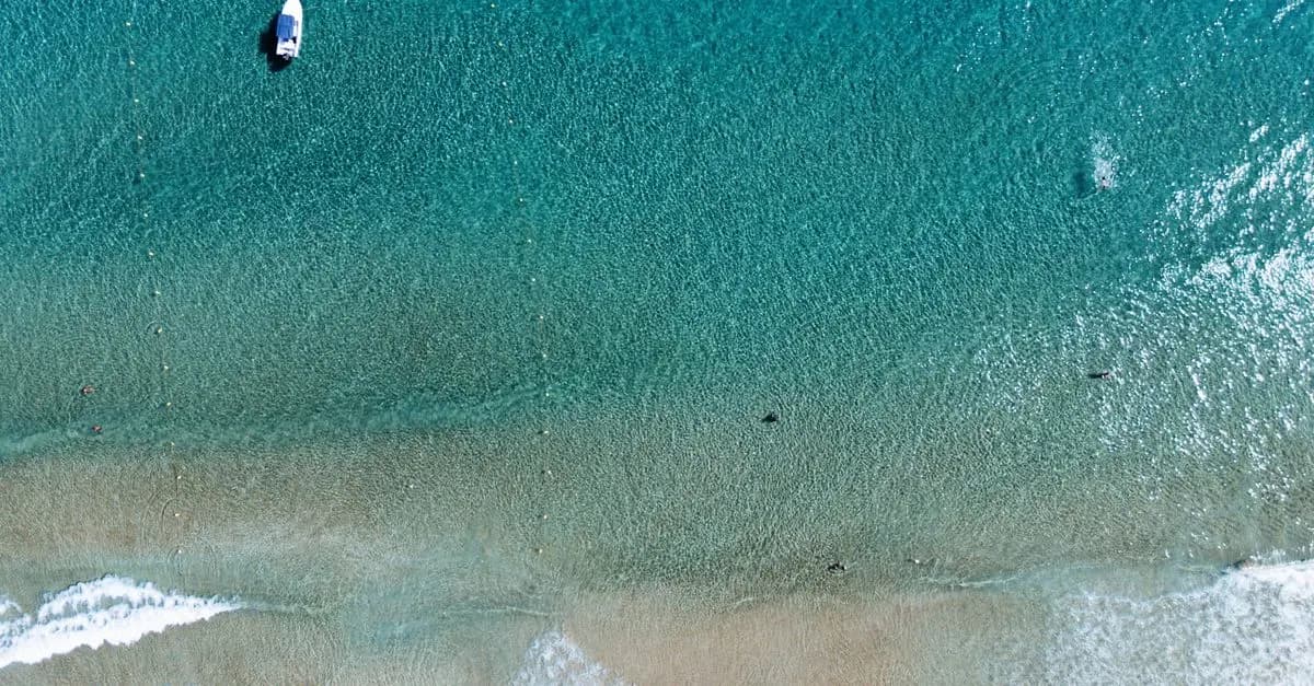 5 Trucos para Encontrar Vuelos Baratos para tu Próximo Viaje