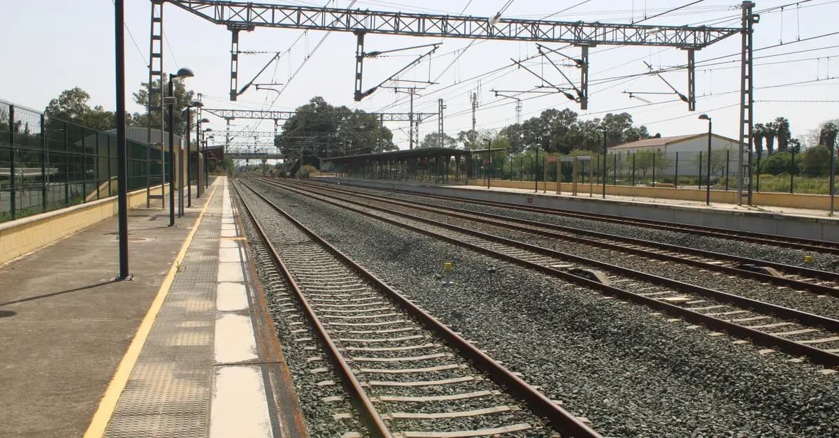 Consejos para Usar el Transporte Público Eficientemente
