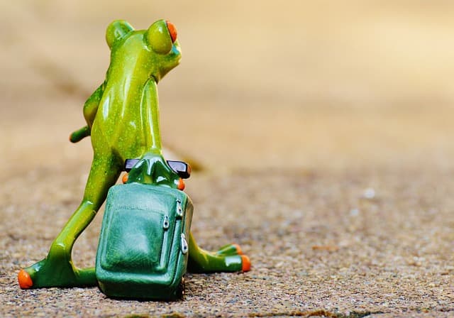 Cómo Ahorrar En Tu Próximo Viaje: 10 Consejos Clave