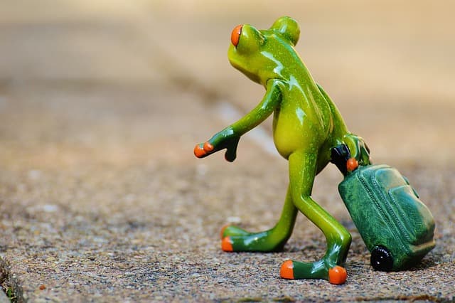 Cómo Ahorrar en Actividades Turísticas: 10 Consejos Prácticos
